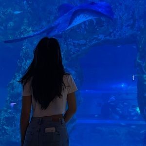 Meet your Posher, Wendy